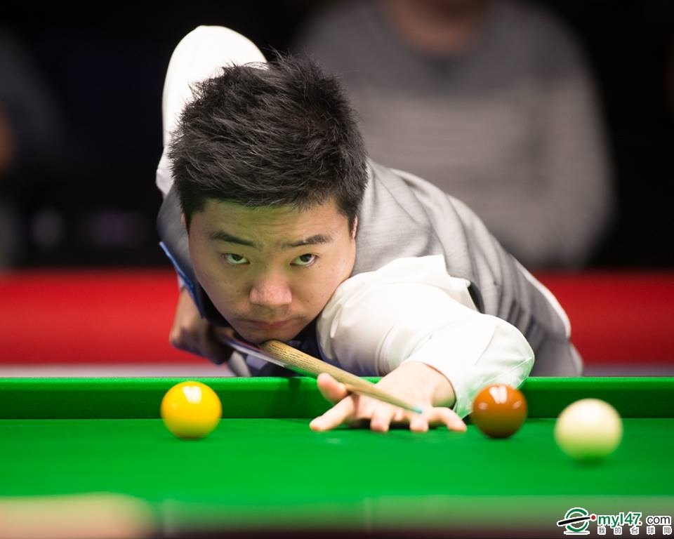 仅让球迷感 仅让球迷感