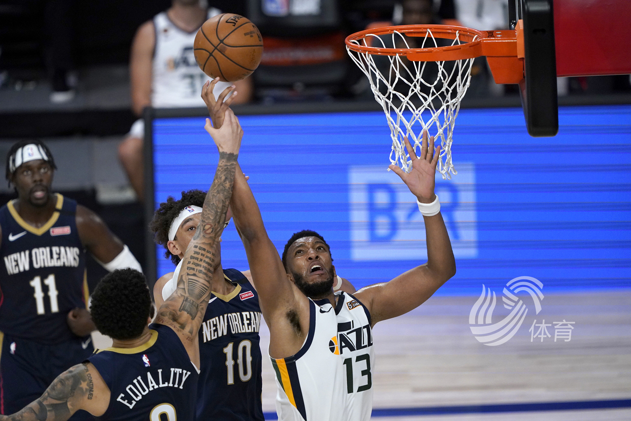 明尼苏达森 明尼苏达森