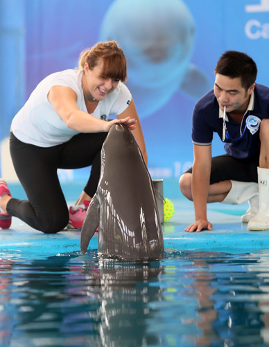 更多的射门 更多的射门